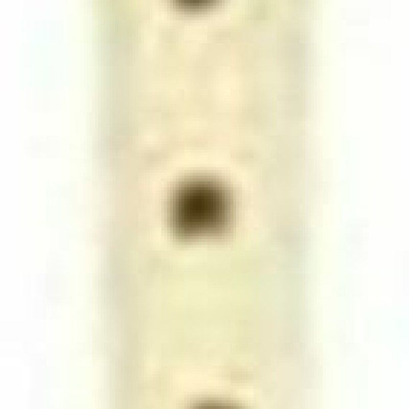Yamaha Soprano Πλαστική Φλογέρα YRS-24B Μπαρόκ Λευκή