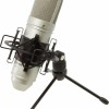 Tascam Πυκνωτικό Μικρόφωνο XLR TM-80 Τοποθέτηση Shock Mounted/Clip On Φωνής σε Χρυσό Χρώμα