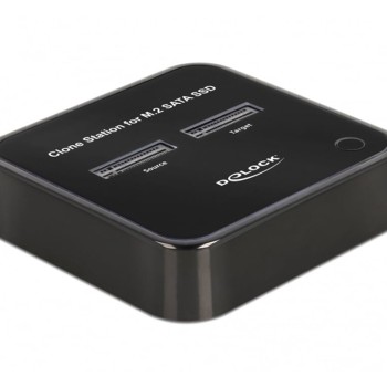 DeLock Docking Station για 2 Σκληρούς Δίσκους SATA M.2(2230)" / M.2(2242)" / M.2(2260)" / M.2(2280)" με σύνδεση USB-C (64178)