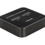 DeLock Docking Station για 2 Σκληρούς Δίσκους SATA M.2(2230)" / M.2(2242)" / M.2(2260)" / M.2(2280)" με σύνδεση USB-C (64178)