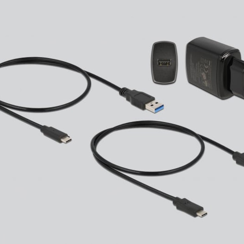 DeLock Docking Station για 2 Σκληρούς Δίσκους SATA M.2(2230)" / M.2(2242)" / M.2(2260)" / M.2(2280)" με σύνδεση USB-C (64178)