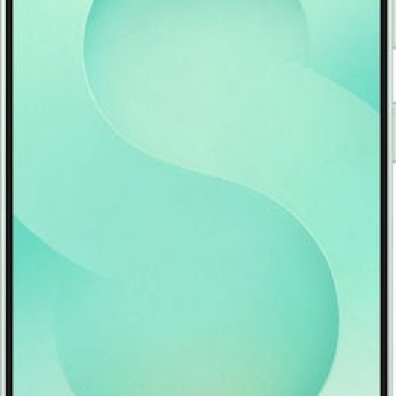 Samsung Galaxy S25 5G Dual SIM (12GB/512GB) Mint  