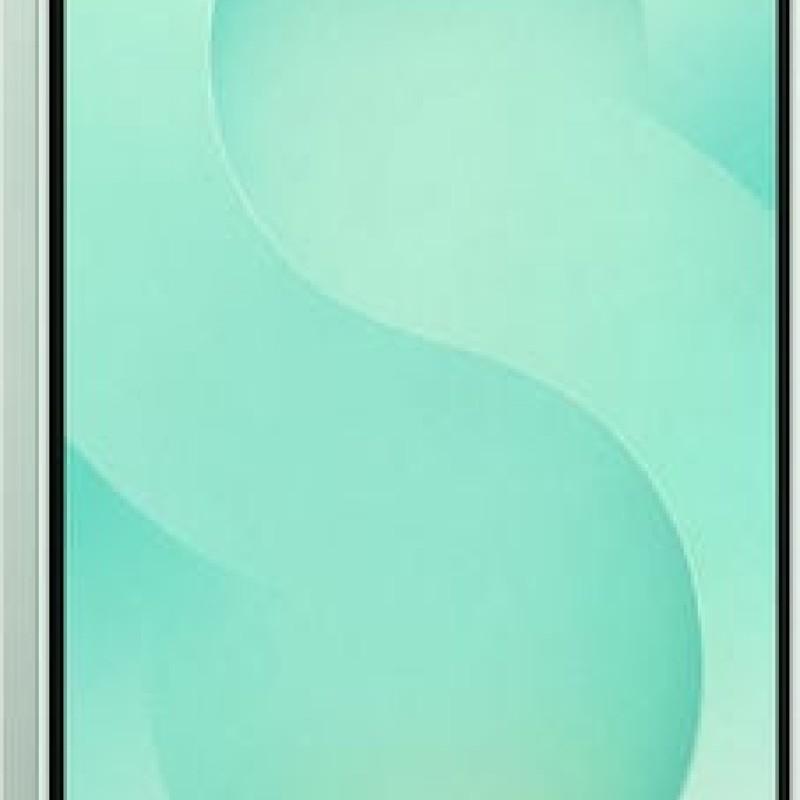 Samsung Galaxy S25 5G Dual SIM (12GB/512GB) Mint  