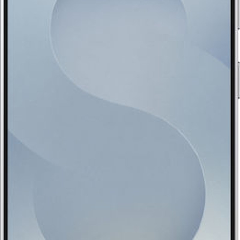 Samsung Galaxy S25 5G Dual SIM (12GB/512GB) Silver Shadow  