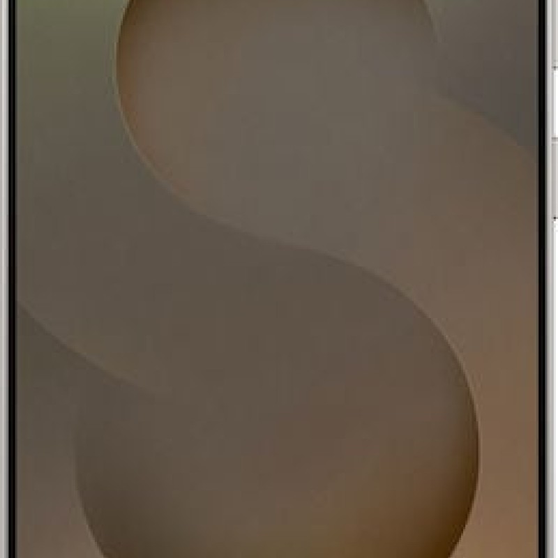 Samsung Galaxy S25 Ultra 5G Dual SIM (12GB/512GB) Titanium Gray 