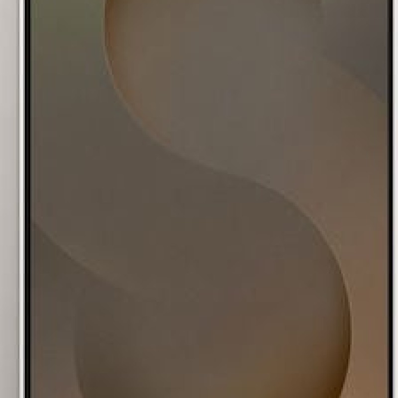 Samsung Galaxy S25 Ultra 5G Dual SIM (12GB/512GB) Titanium Gray 